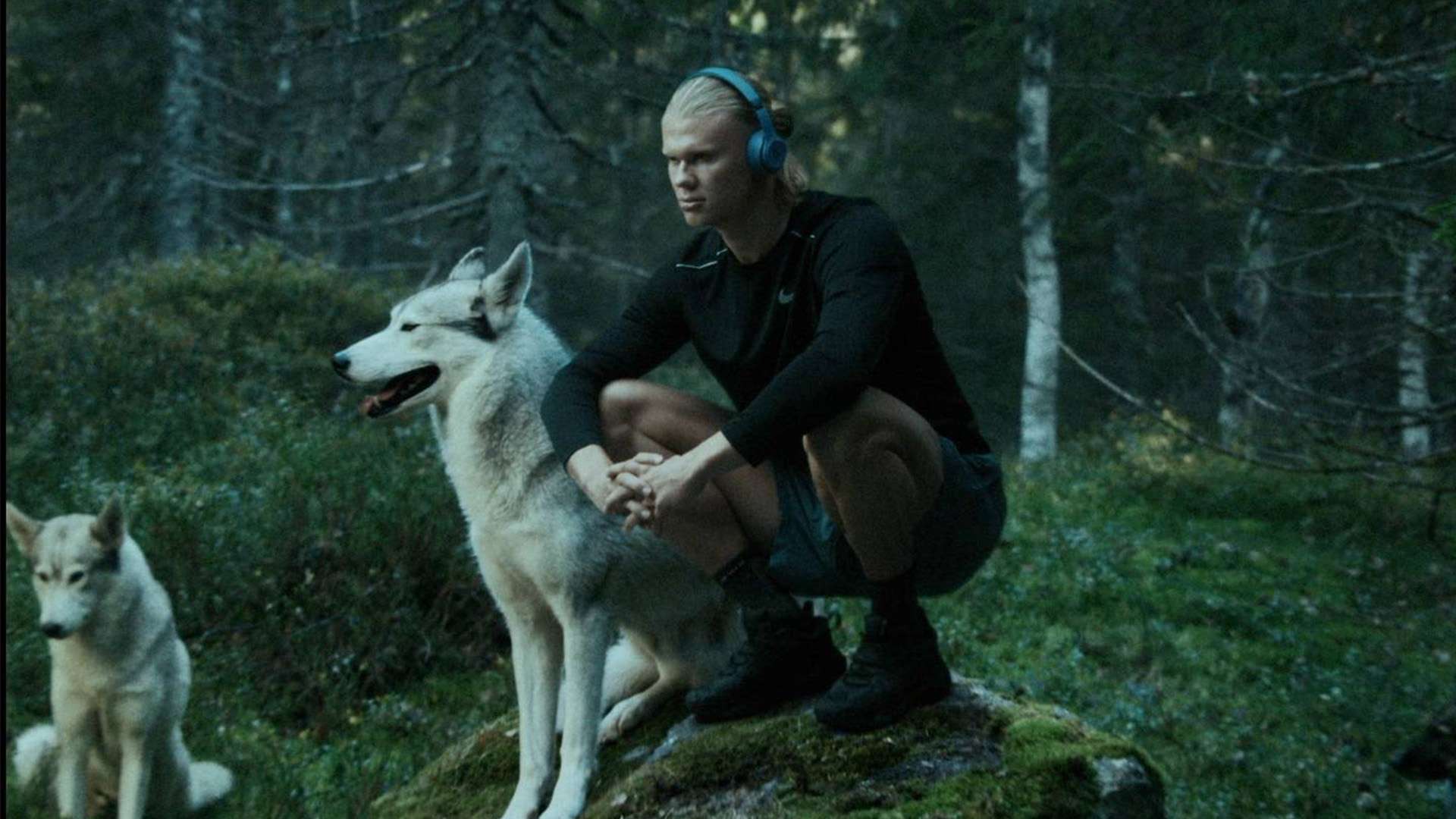 主罚者的合 主罚者的合